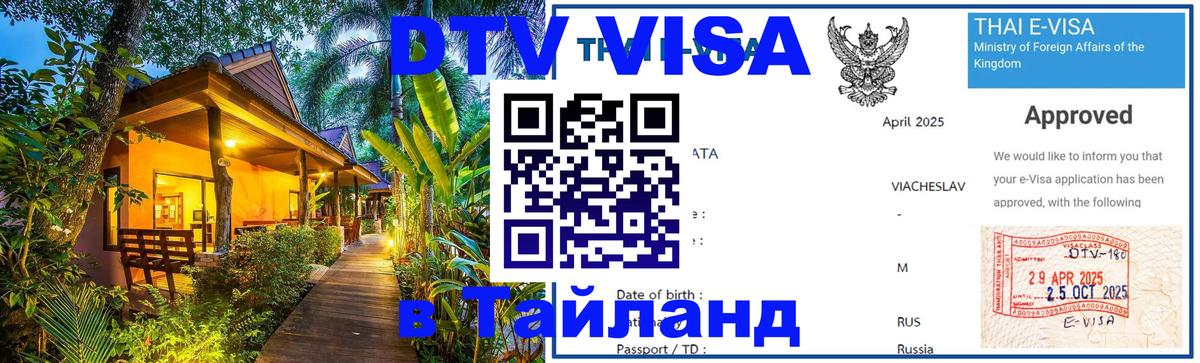 Сколько стоит DTV виза — актуальные цены, оформление даже без документов - 19.11.2025 